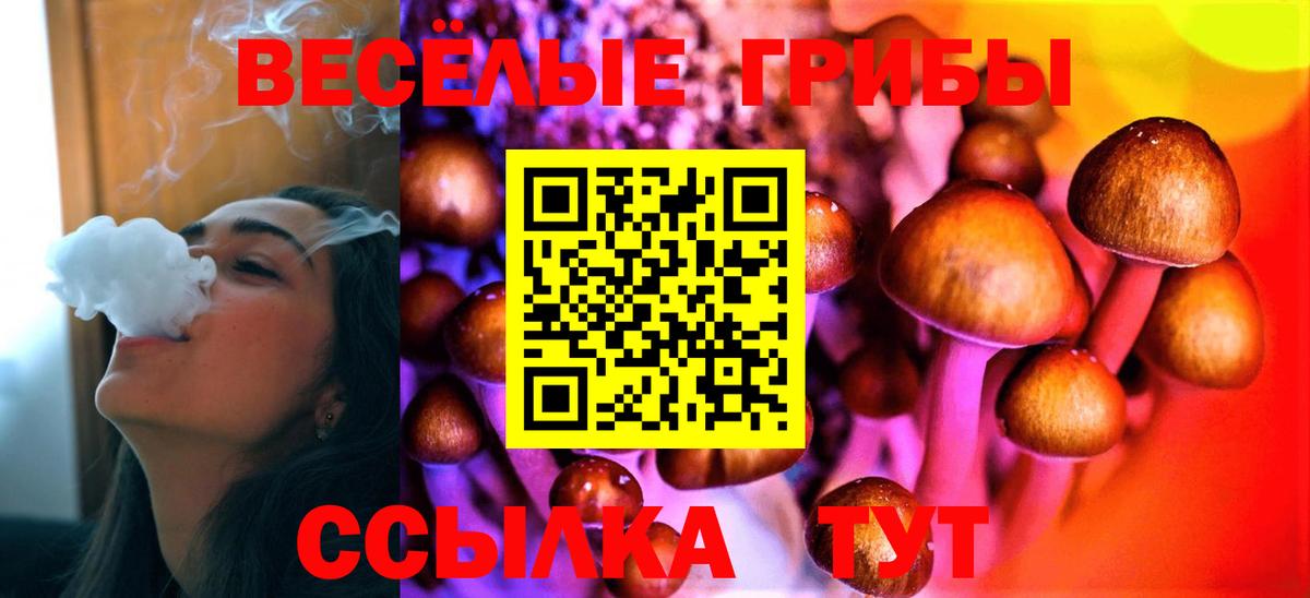 Галлюциногенные грибы Magic Shrooms  Вход с VPN  Галлюциногенные грибы Magic Shrooms  хочу наркоту  Сургут 